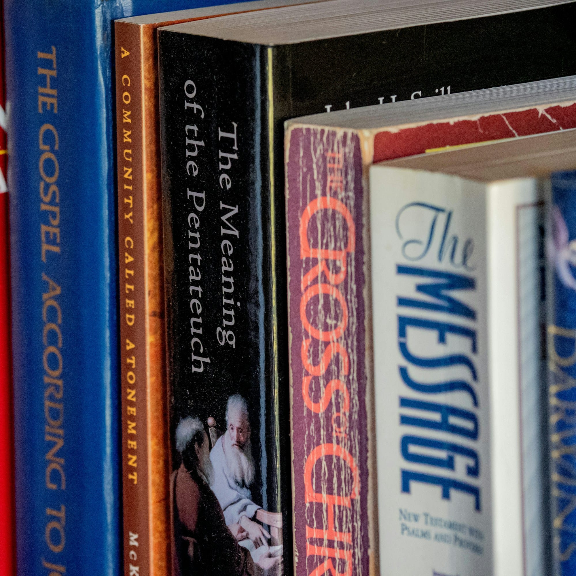 books lined up on shelf
